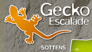 Gecko escalade